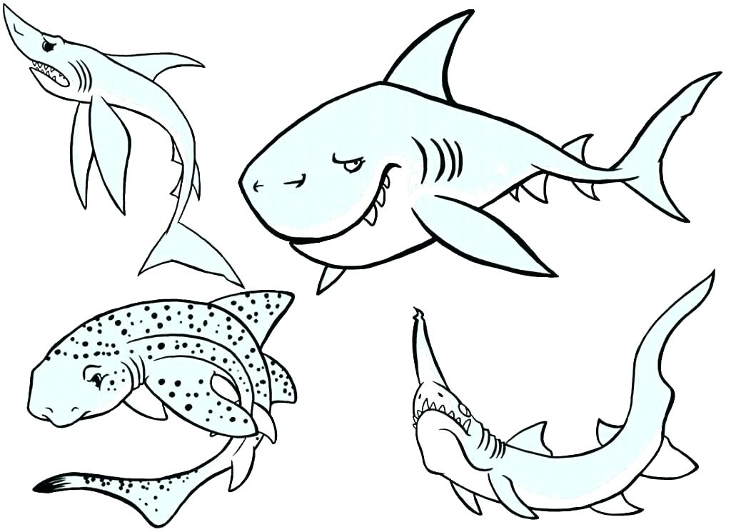 1024x745 Bull Shark Coloring Pages