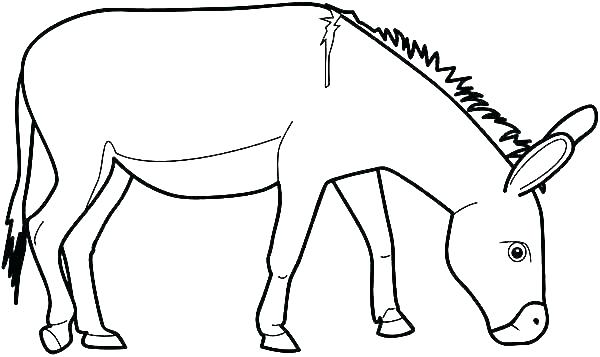 600x357 Grass Coloring Page Field Grass 3 Grass And Flowers Coloring Pages