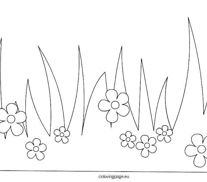 678x595 Grass Coloring Page Green Grass Coloring Pages