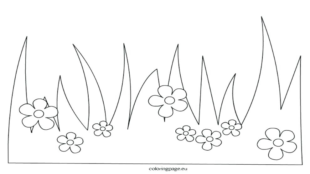 990x557 Grass Coloring Pages Beauteous Grass Coloring Page Colouring Pages