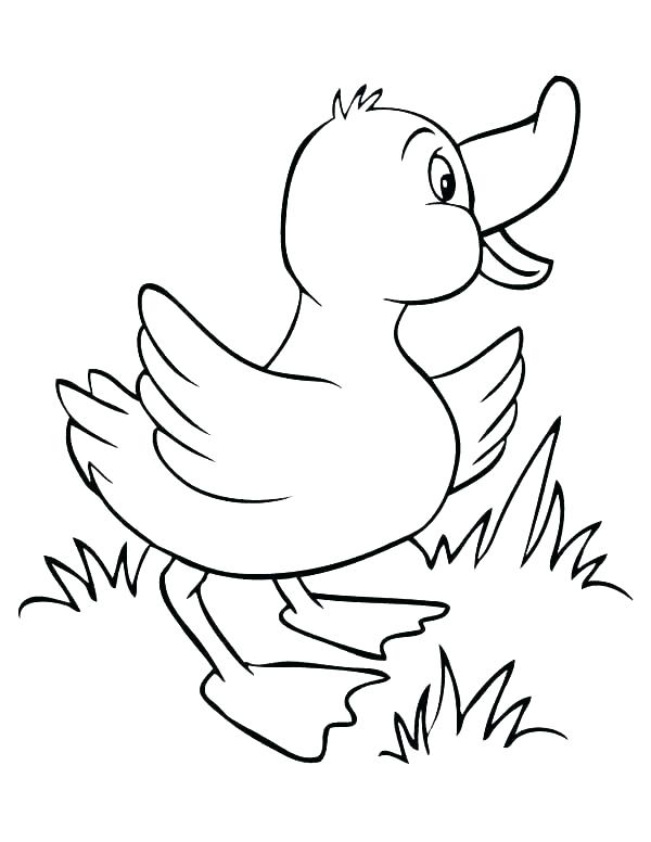 600x776 Grass Coloring Pages Dartboard On The Grass Coloring Page Green