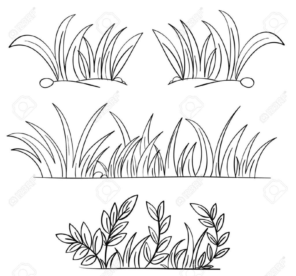 1024x955 Contemporary Grass Coloring Page Image Collection