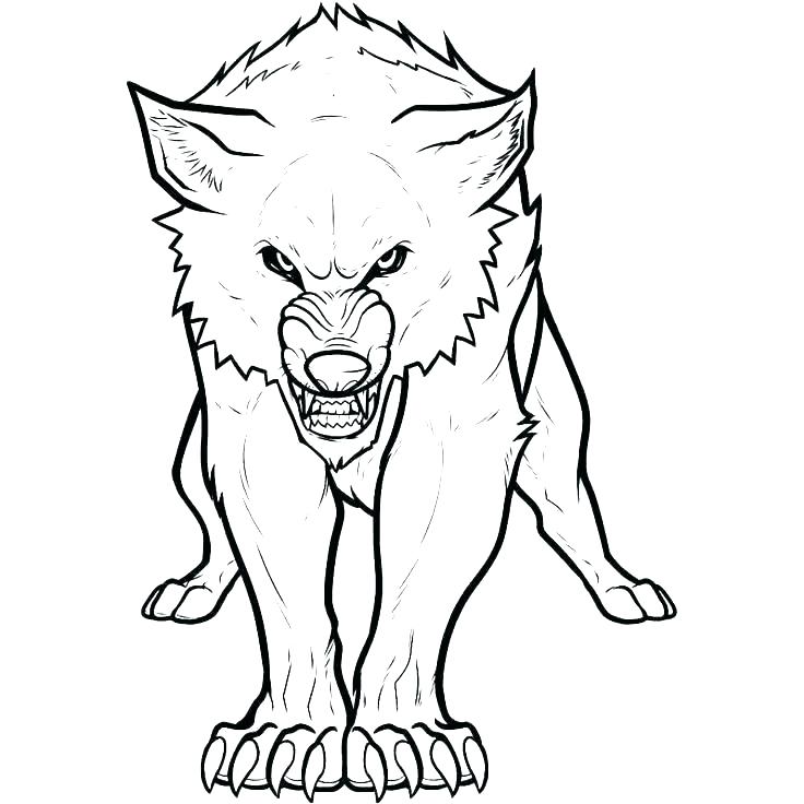736x736 Grey Wolf Coloring Pages Gray Wolf Coloring Page Wolf Adult Zen