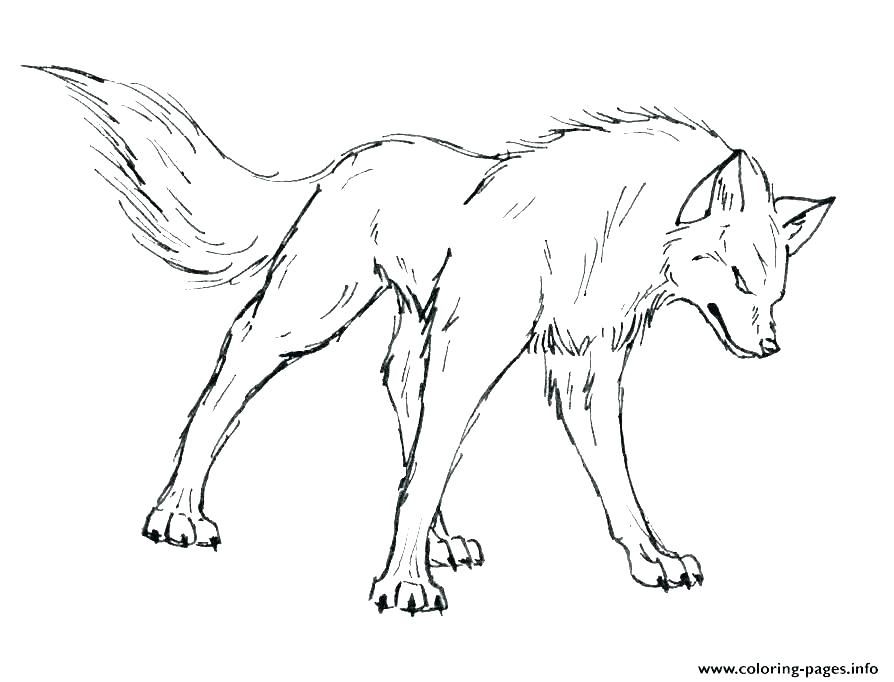 894x682 Printable Wolf Coloring Sheets Grey Wolf Coloring Pages Coloring