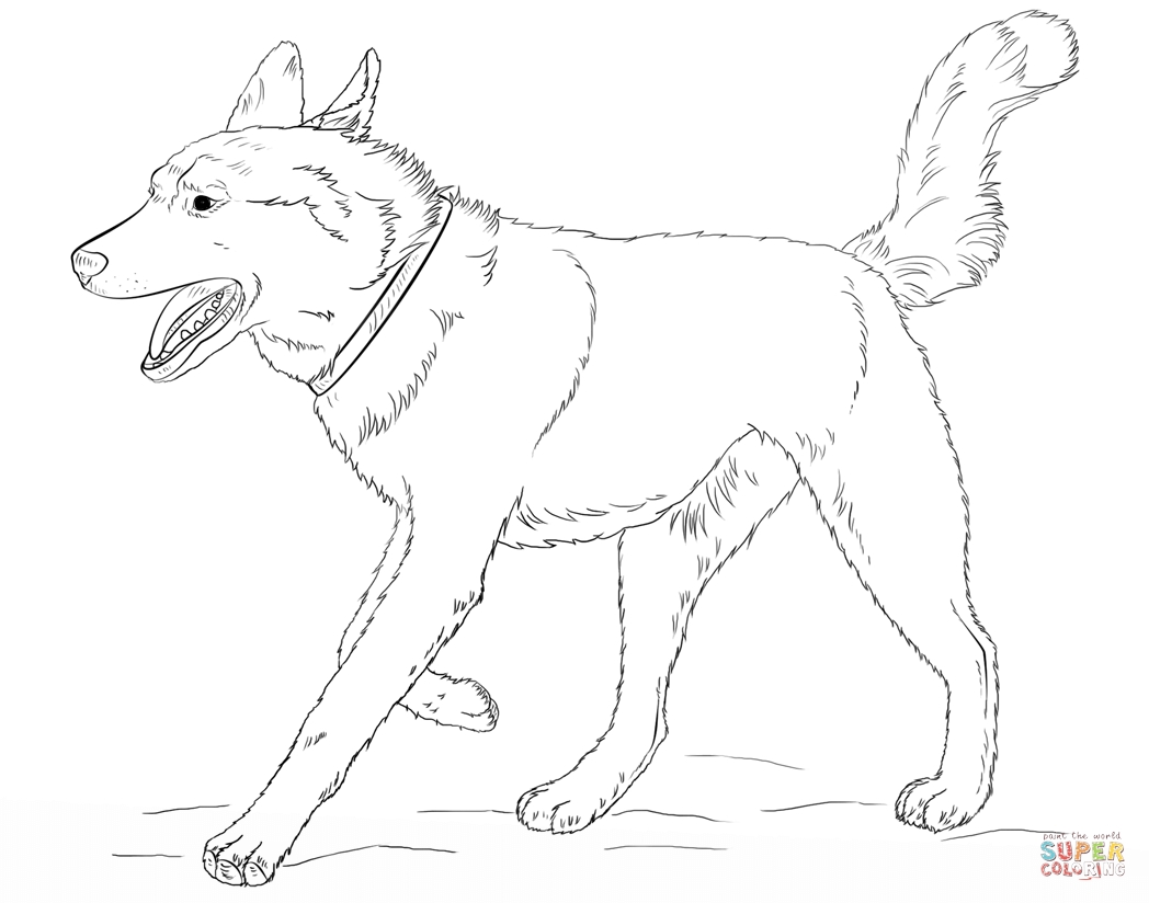 1048x824 Siberian Husky Coloring Pages Gallery Coloring For Kids 2018