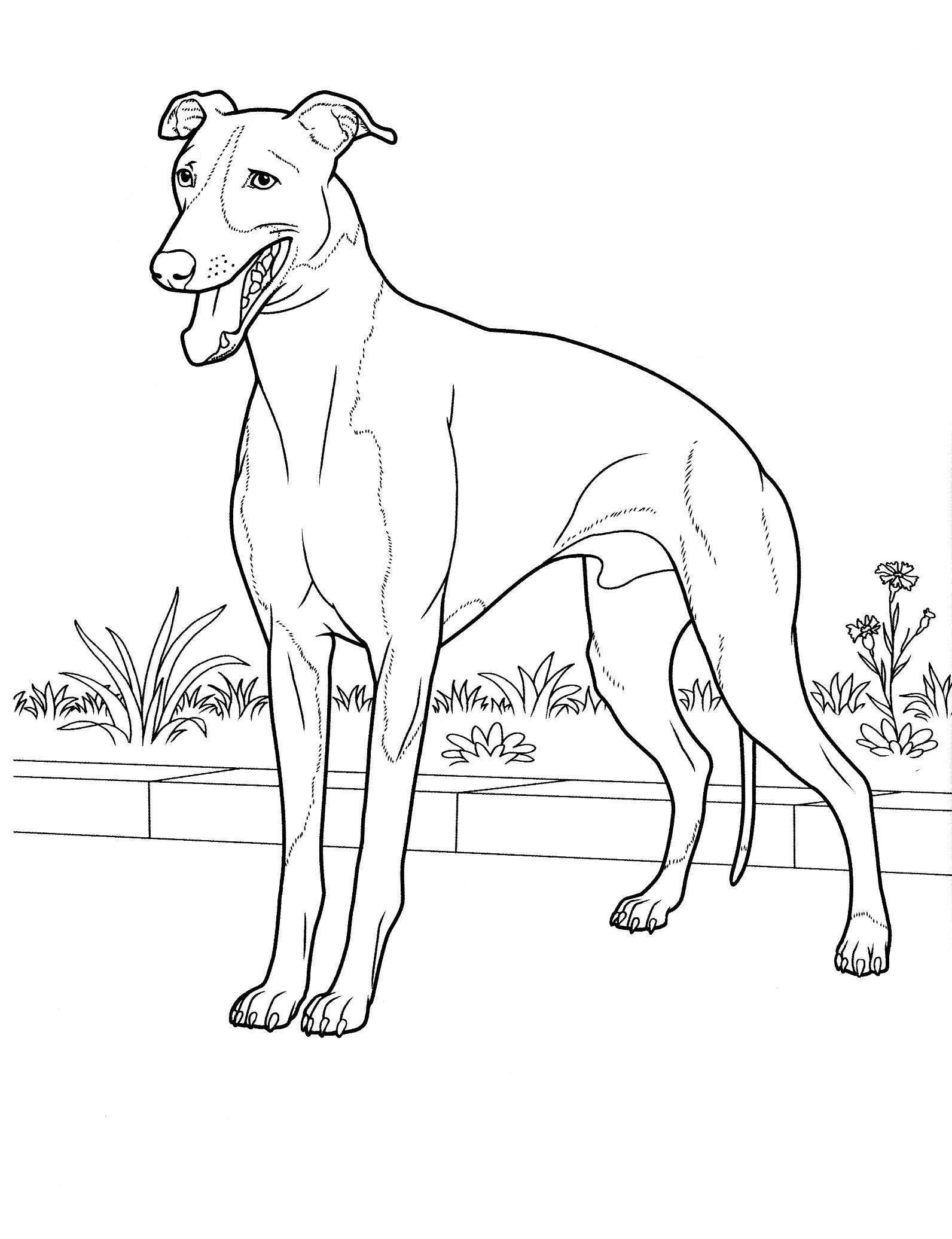 1592x2072 Dog Coloring Pages 24 Teenagers Coloring Pages Coloring Pages