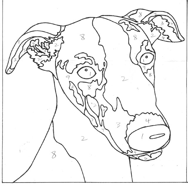 640x637 Grey Hound Colouring Pages