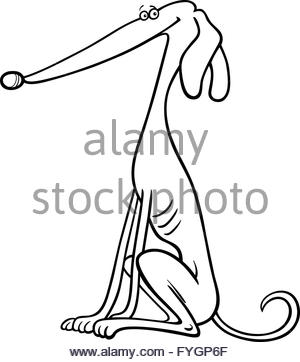 300x362 Greyhound Dog Cartoon For Coloring Book Stock Photo, Royalty Free