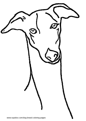 300x420 Dog Breed Coloring Pages Hubpages