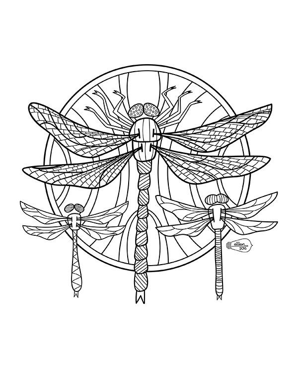 600x776 Digital Stamp Coloring Page Dragonflies By Sugarcubegoblin On Etsy