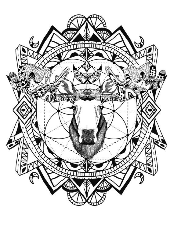570x738 Wild And Free Spirit Animals