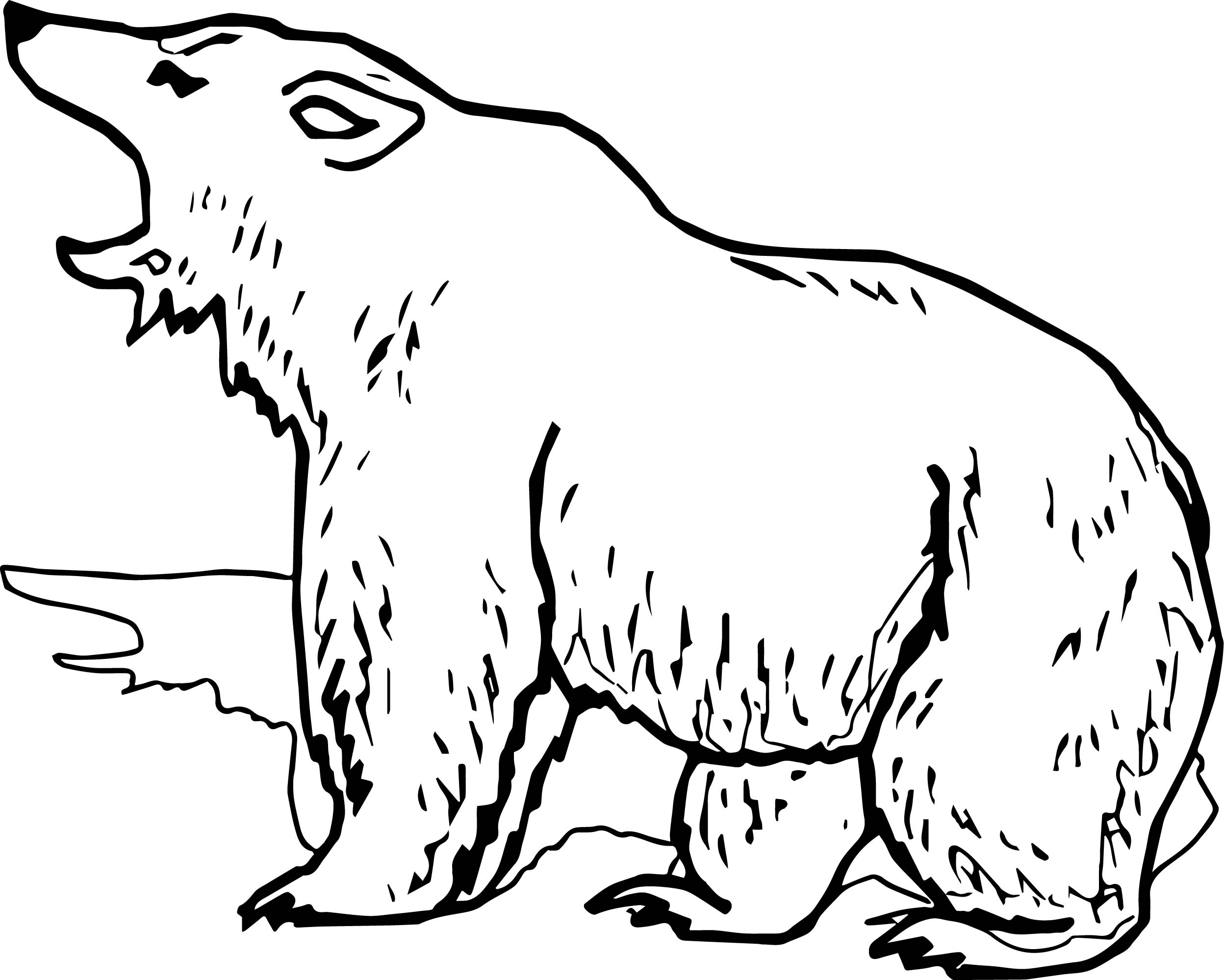 Grizzly Bear Coloring Pages