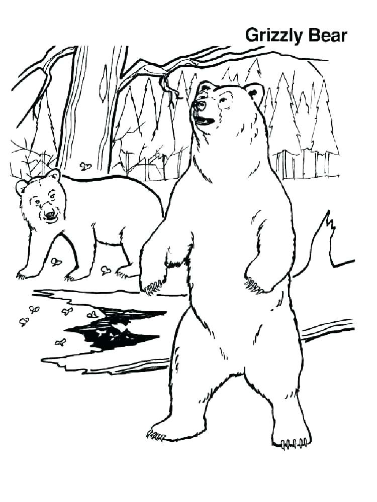 750x1000 Grizzly Bear Coloring Pages Enormous Grizzly Bear Coloring Page