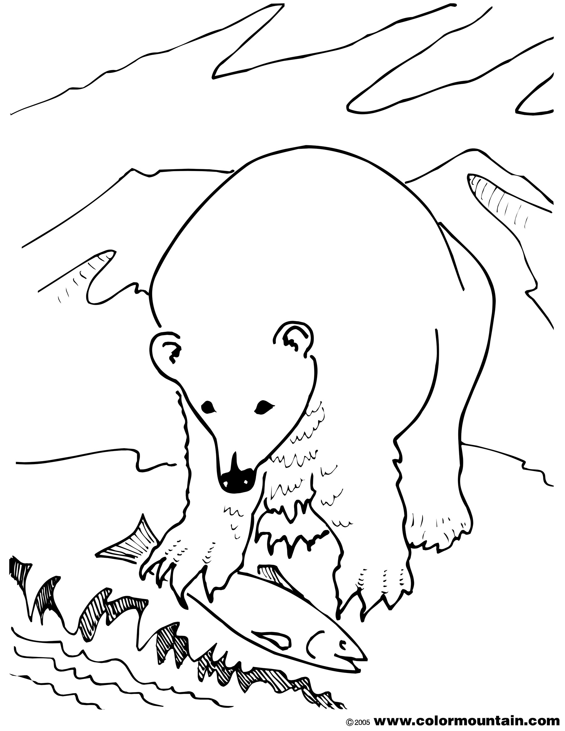 1800x2329 Grizzly Bear Color Page
