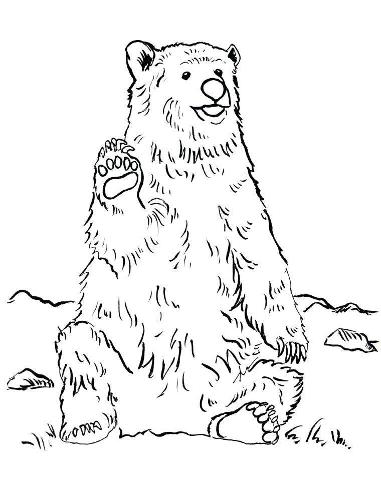 760x985 Grizzly Bear Coloring Page Also Grizzly Bear Coloring Page Grizzly