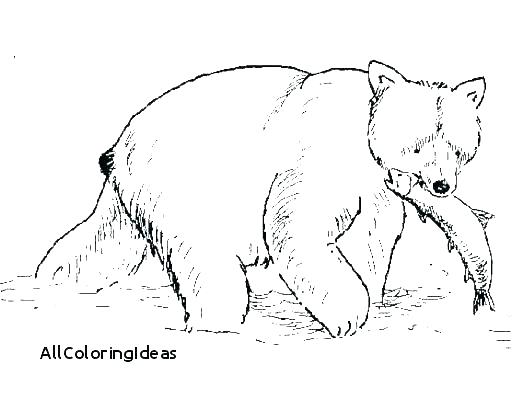 529x404 Grizzly Bear Coloring Page Grizzly Bear Coloring Pages Coloring