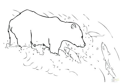 476x333 Grizzly Bear Coloring Pictures Grizzly Bear Coloring Pages As Well