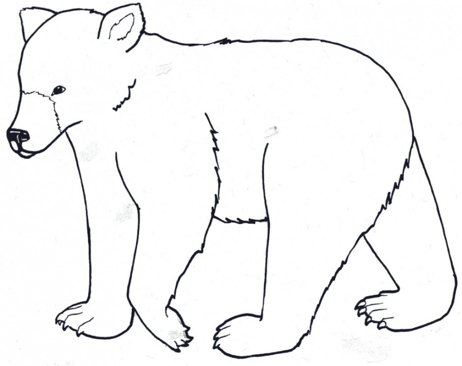 940x745 Grizzly Bear Clipart Colouring