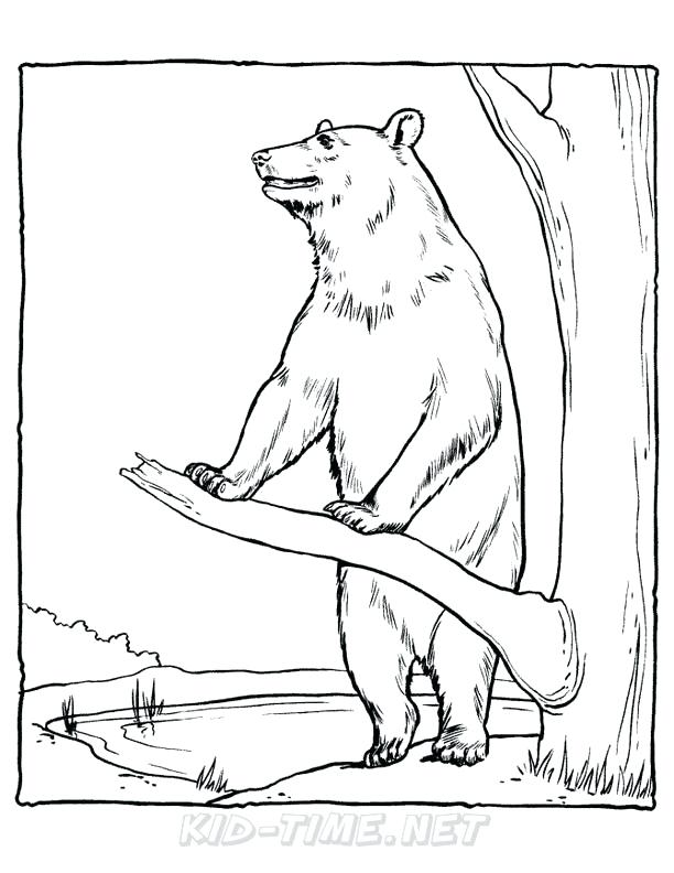 612x792 Bear Coloring Pages Coloring Pages Collection