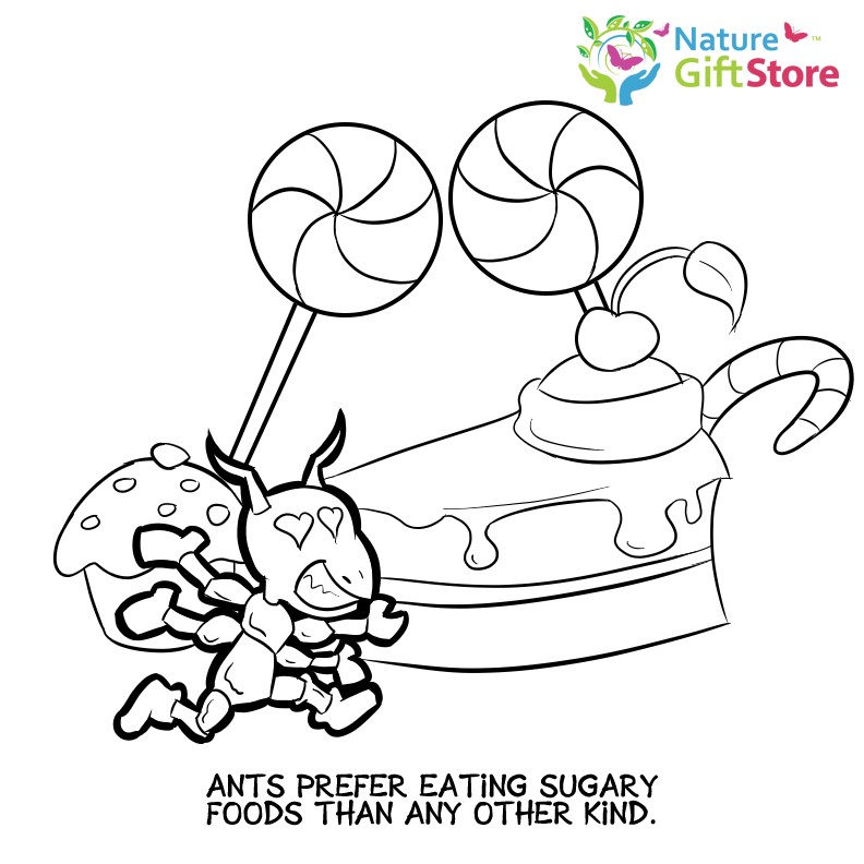 792x792 Grocery Shopping Coloring Pages Unique Printable Coloring Pages