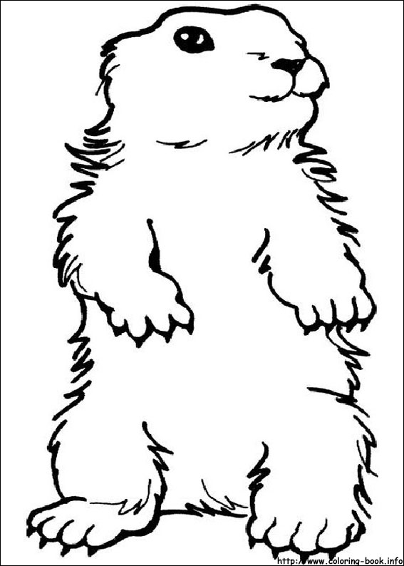 567x794 Day Coloring Picture