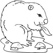 225x224 Mejores 10 De Groundhog Day Coloring Page En