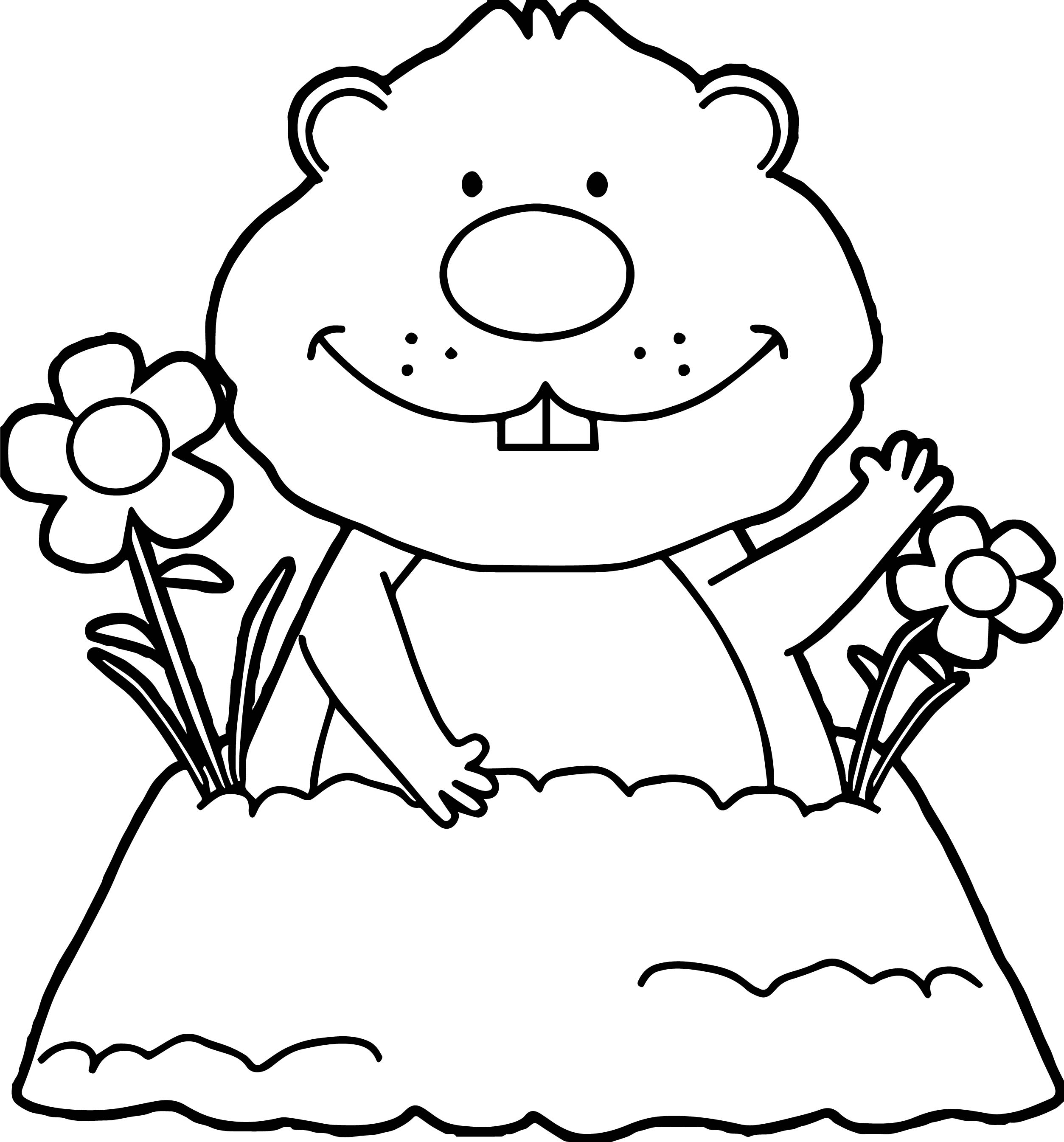 2507x2690 Groundhog Coloring Robertomattnico Groundhog Coloring Page