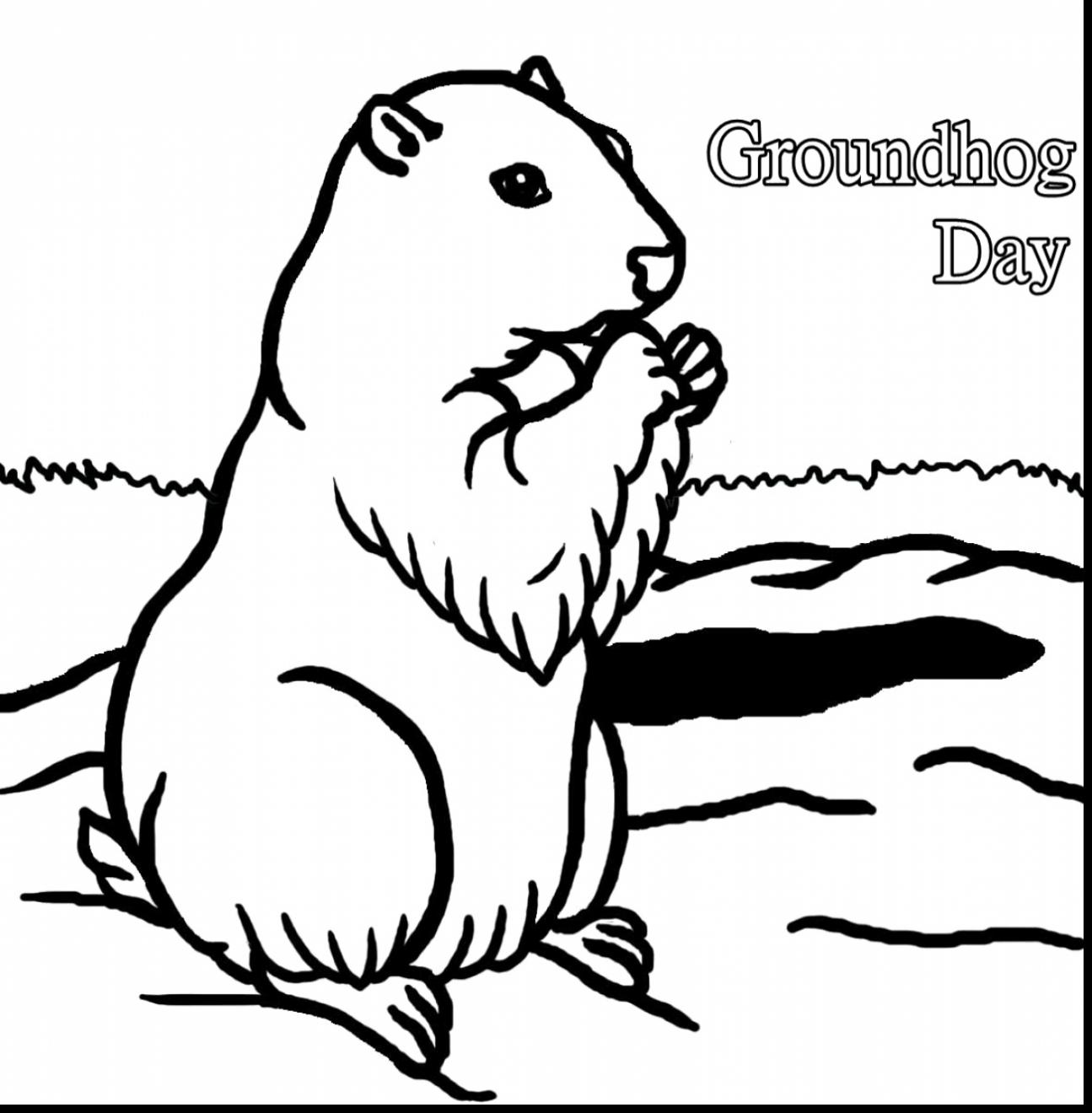 1295x1320 Groundhog Coloring Page