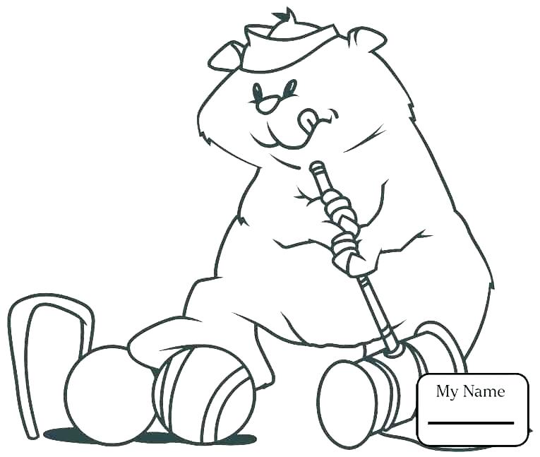 765x647 Groundhog Coloring Pages Count The Groundhogs Coloring Page