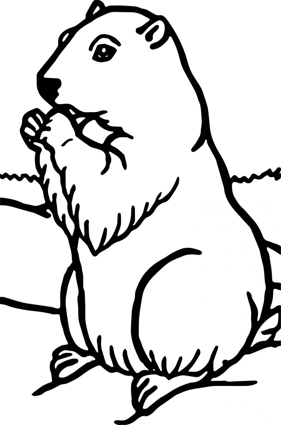 970x1462 Fascinating Best Photos Of How To Draw A Wood Chuck Does Picture