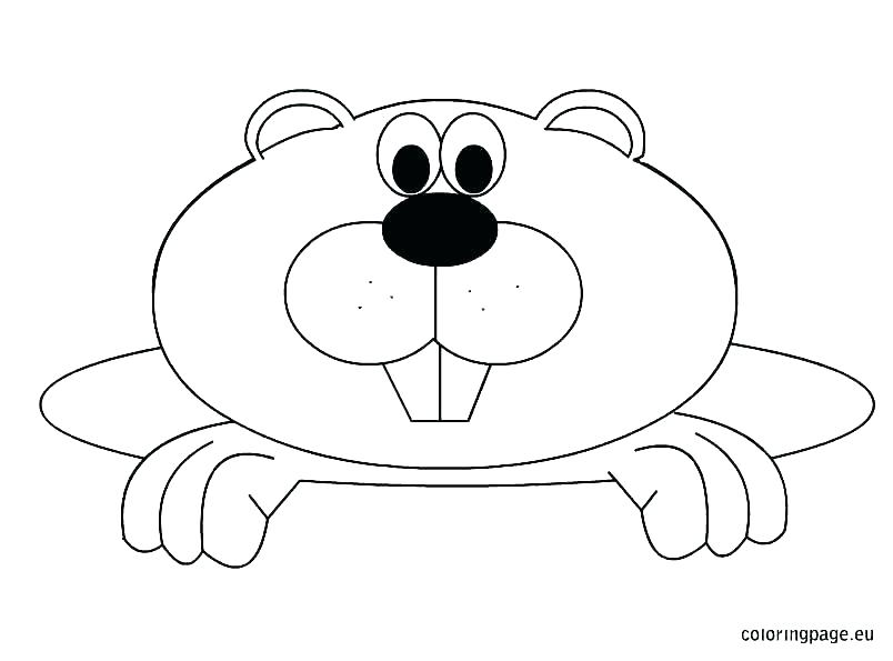 804x595 Ground Hog Coloring Pages Groundhog Coloring Pages Groundhog
