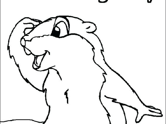 567x425 Groundhog Coloring Sheet Groundhog Day Coloring Pages Activities