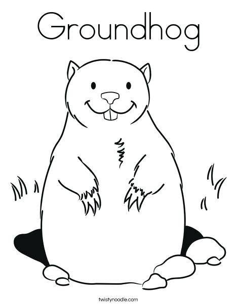 468x605 Groundhog Coloring Pages Groundhog Coloring Page Animal Groundhog