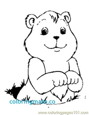 378x486 36 Groundhog Day Coloring Pages