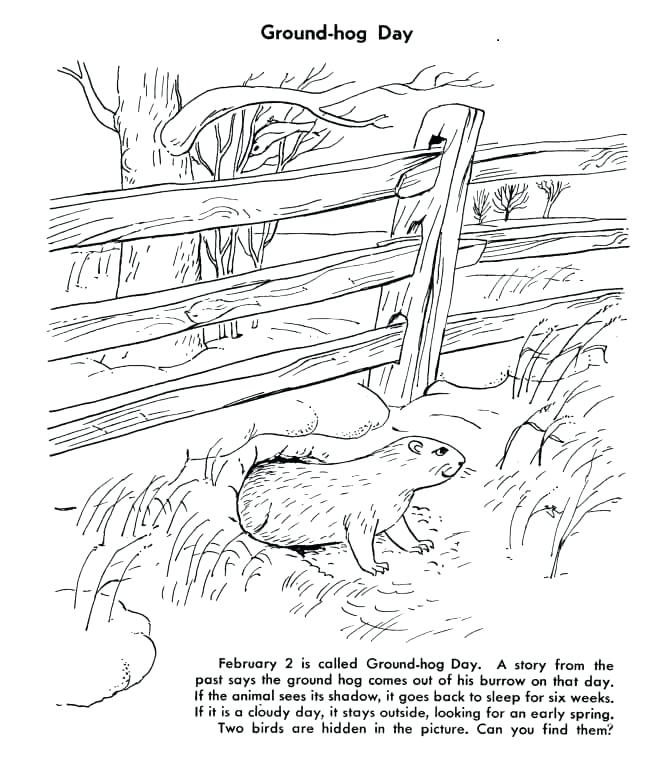 670x762 Ground Hog Coloring Pages