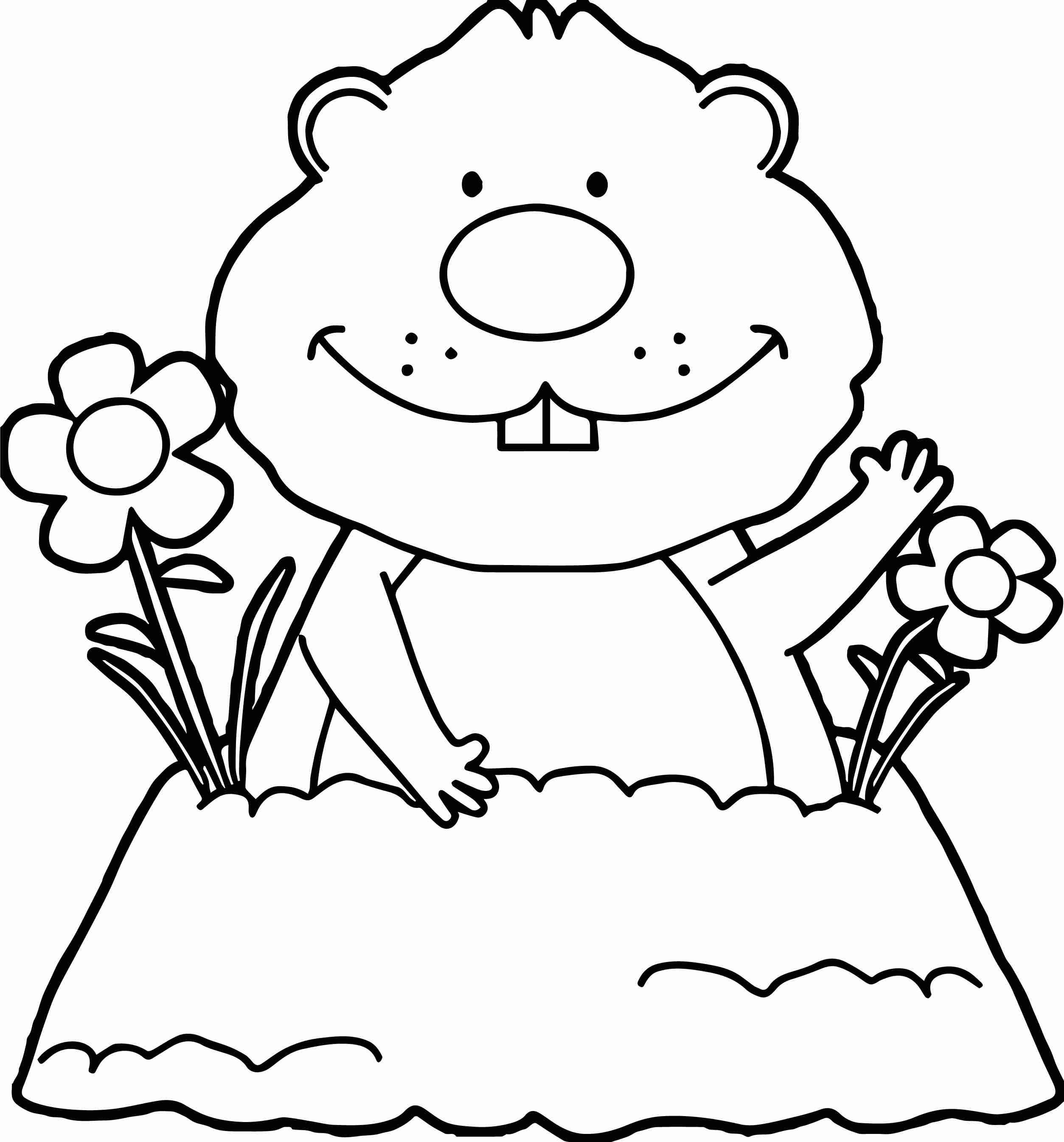 2507x2690 Coloring Pages Groundhog Day