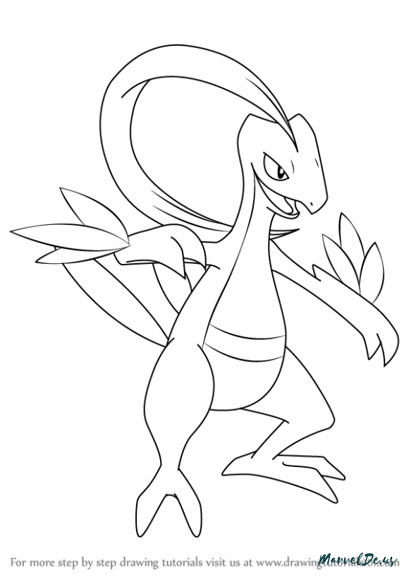 Grovyle Coloring Pages