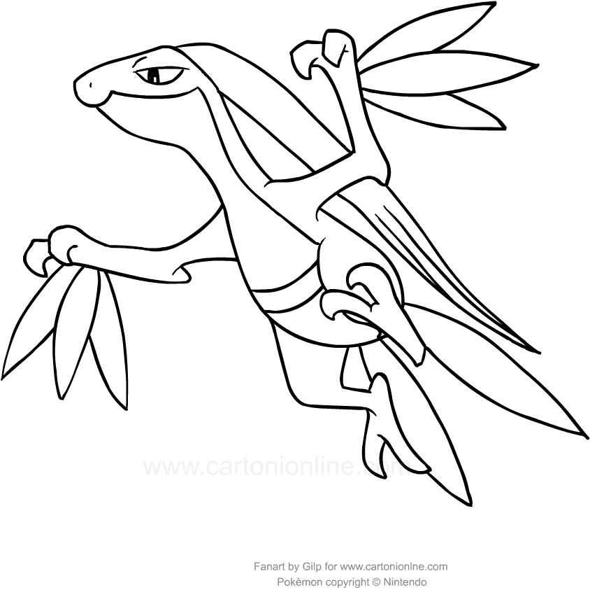 844x853 Drawing Grovyle Of The Pokemon Coloring Page