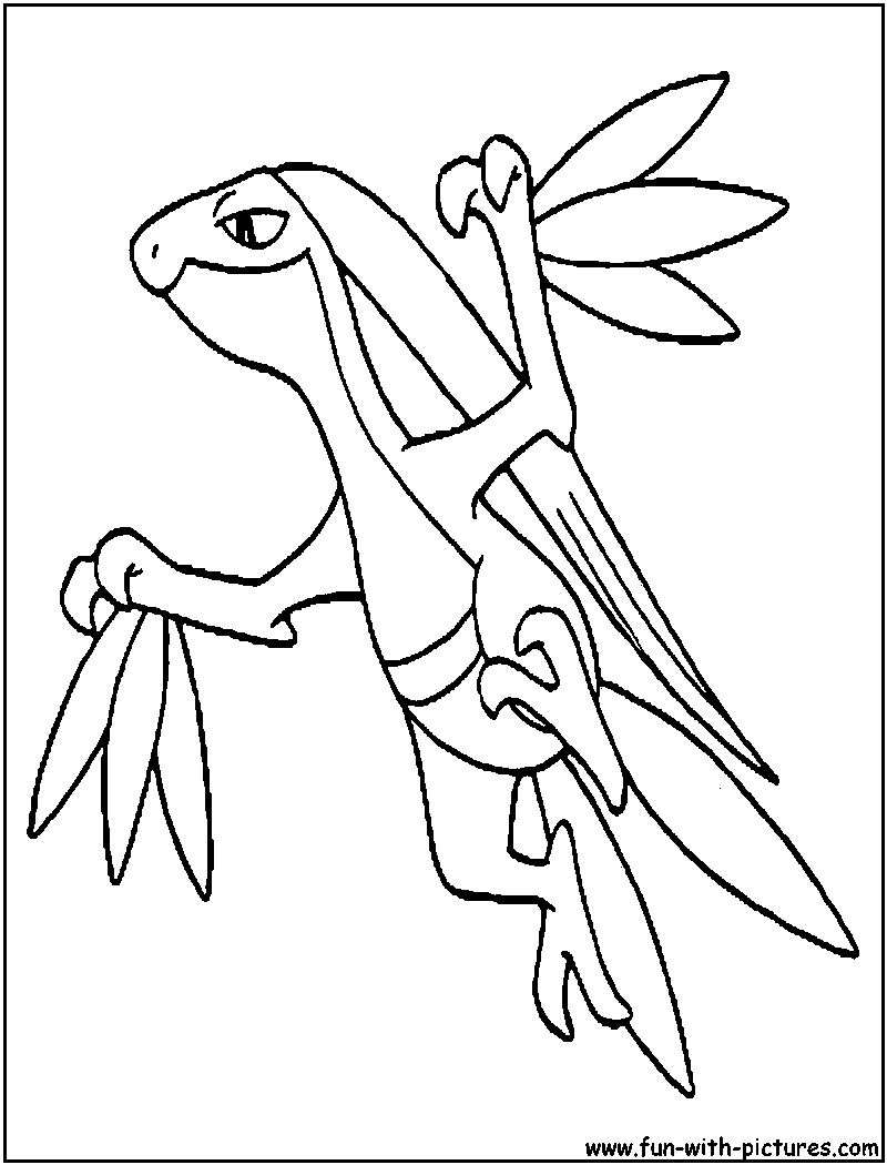 800x1050 Grovyle Coloring Page