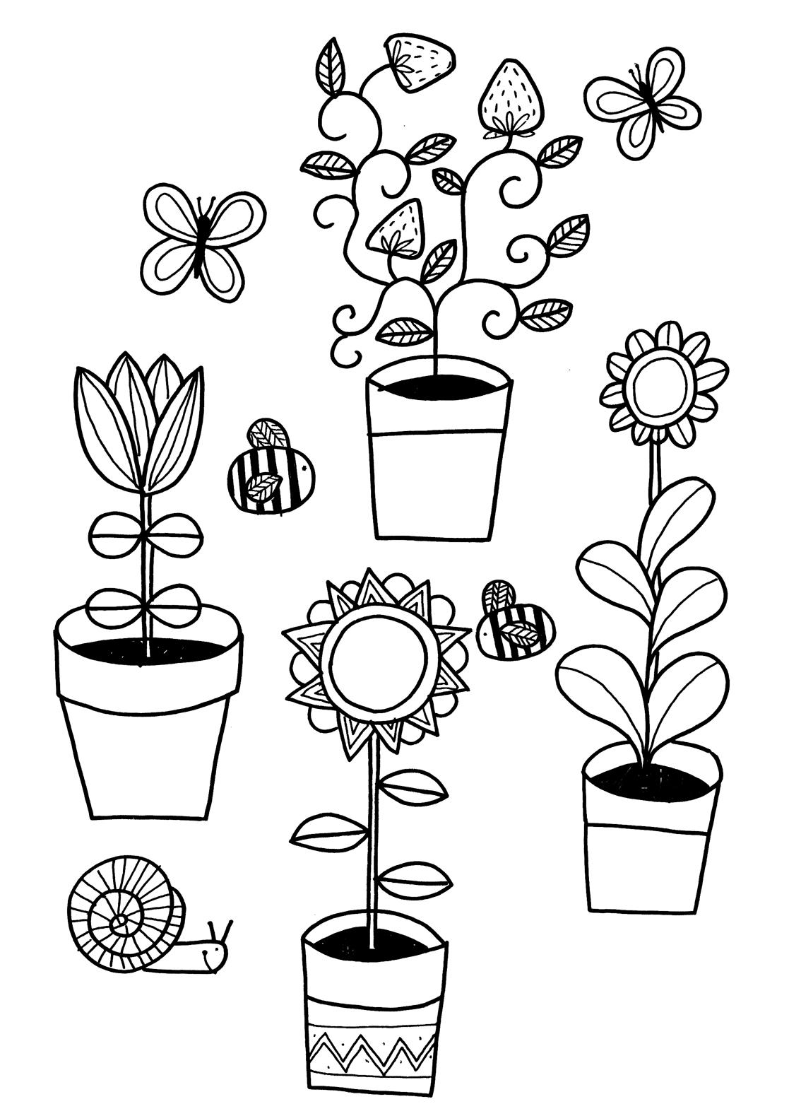 1117x1579 Family Activities Fun Crafts For Children And Easy Plants To Grow