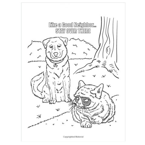 480x480 Grumpy Cat Coloring Pages Funny Colouring Sheets 31683