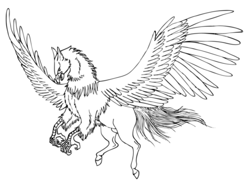 480x368 Cute Gryphon Coloring Page