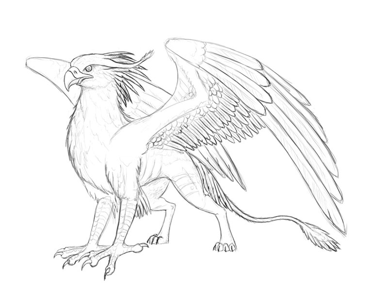 800x600 Drawn Wings Gryphon 3483407