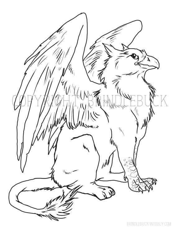 570x738 Gryphon Coloring Page Download Child Art Adult By Brindlebuck