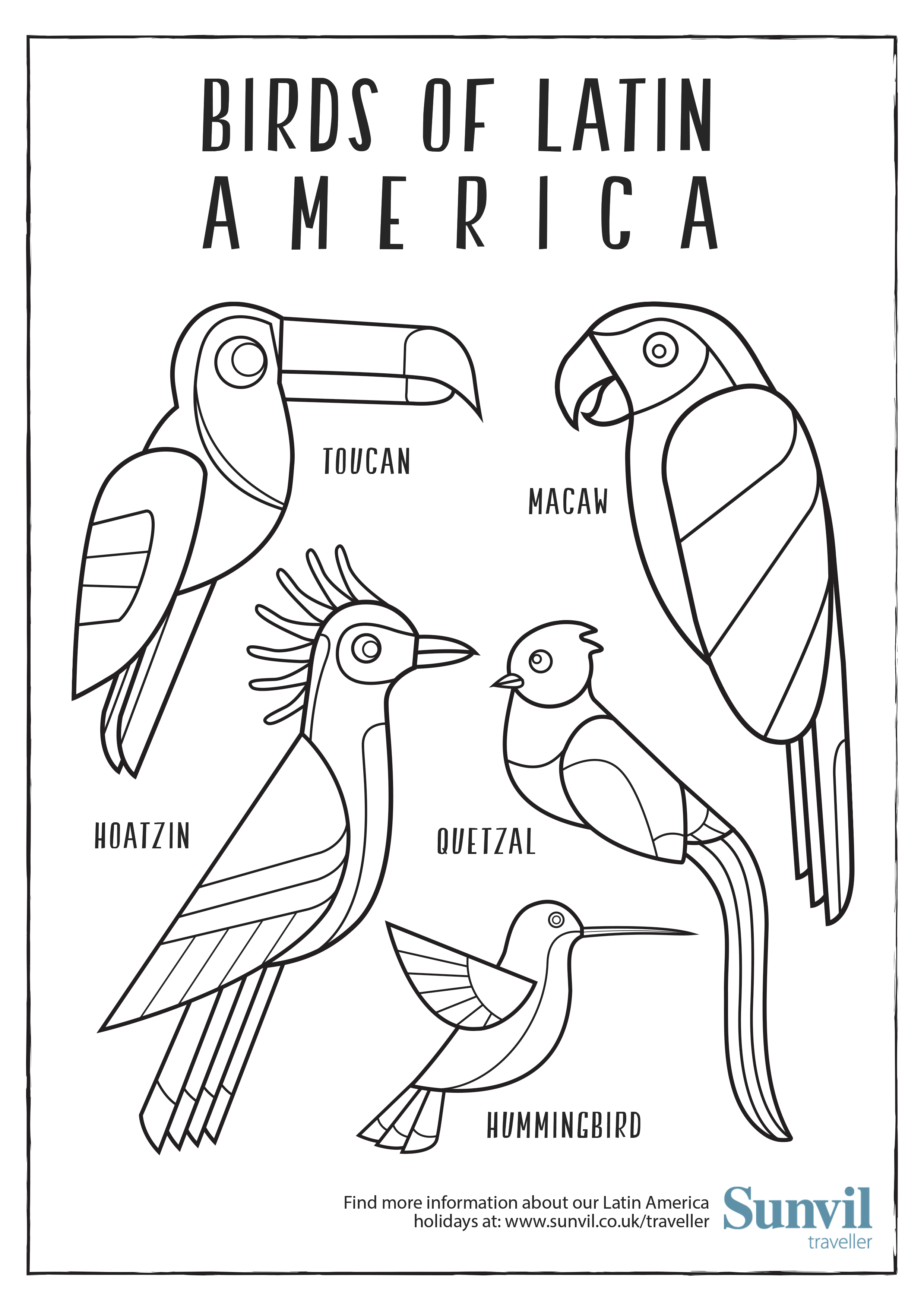 2480x3508 Birds Of Latin America Colouring Page
