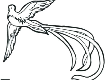 440x330 Flag Of Guatemala Coloring Page Grandmaman.site