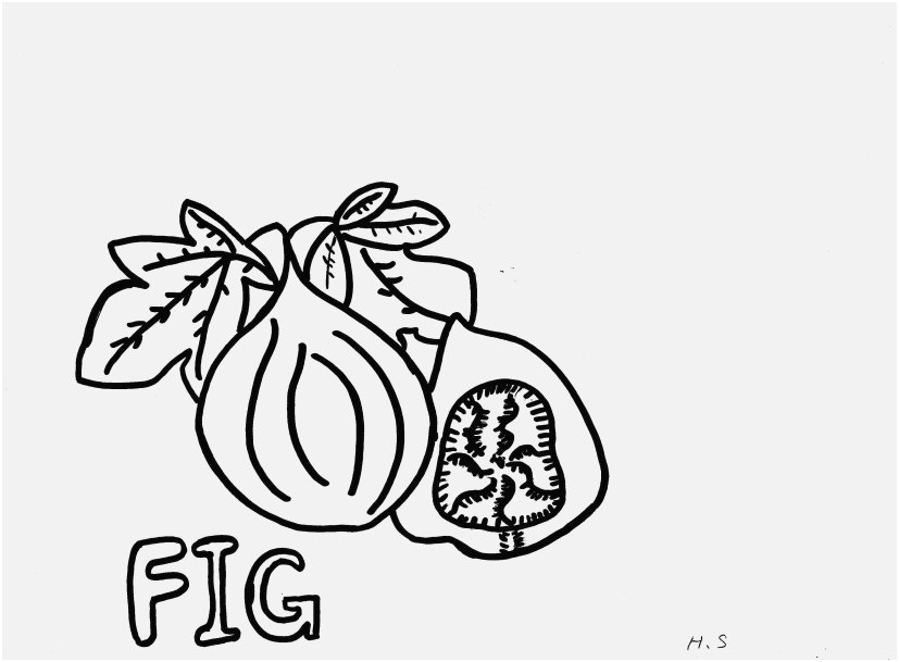 Guava Coloring Pages