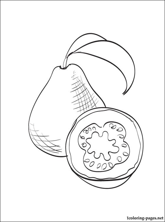 560x750 Guava Coloring Page To Print Out Coloring Pages