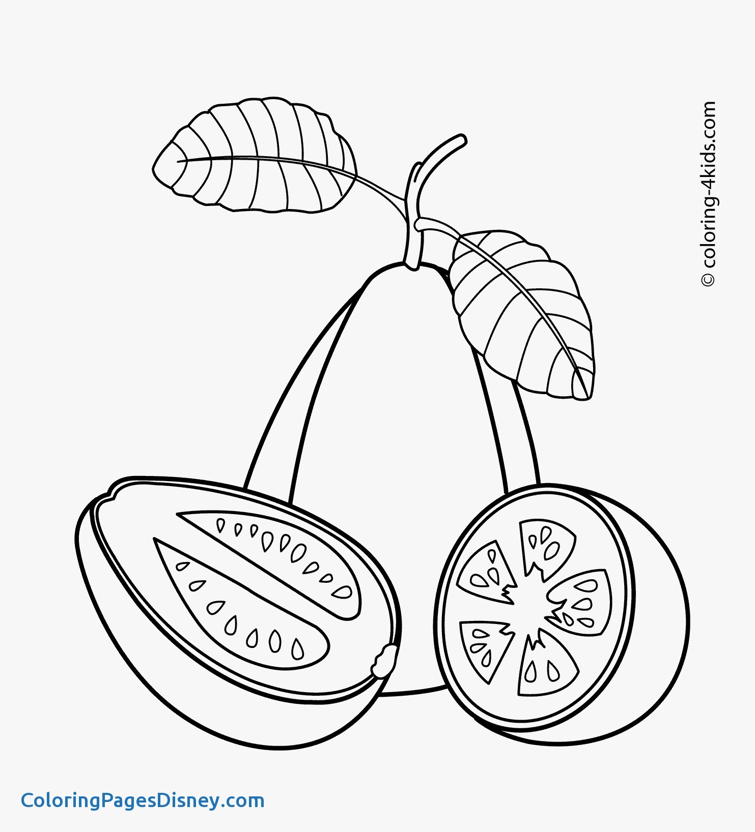 1483x1636 Guavas Coloring Pages Beautiful Guava Fruits Coloring Pages