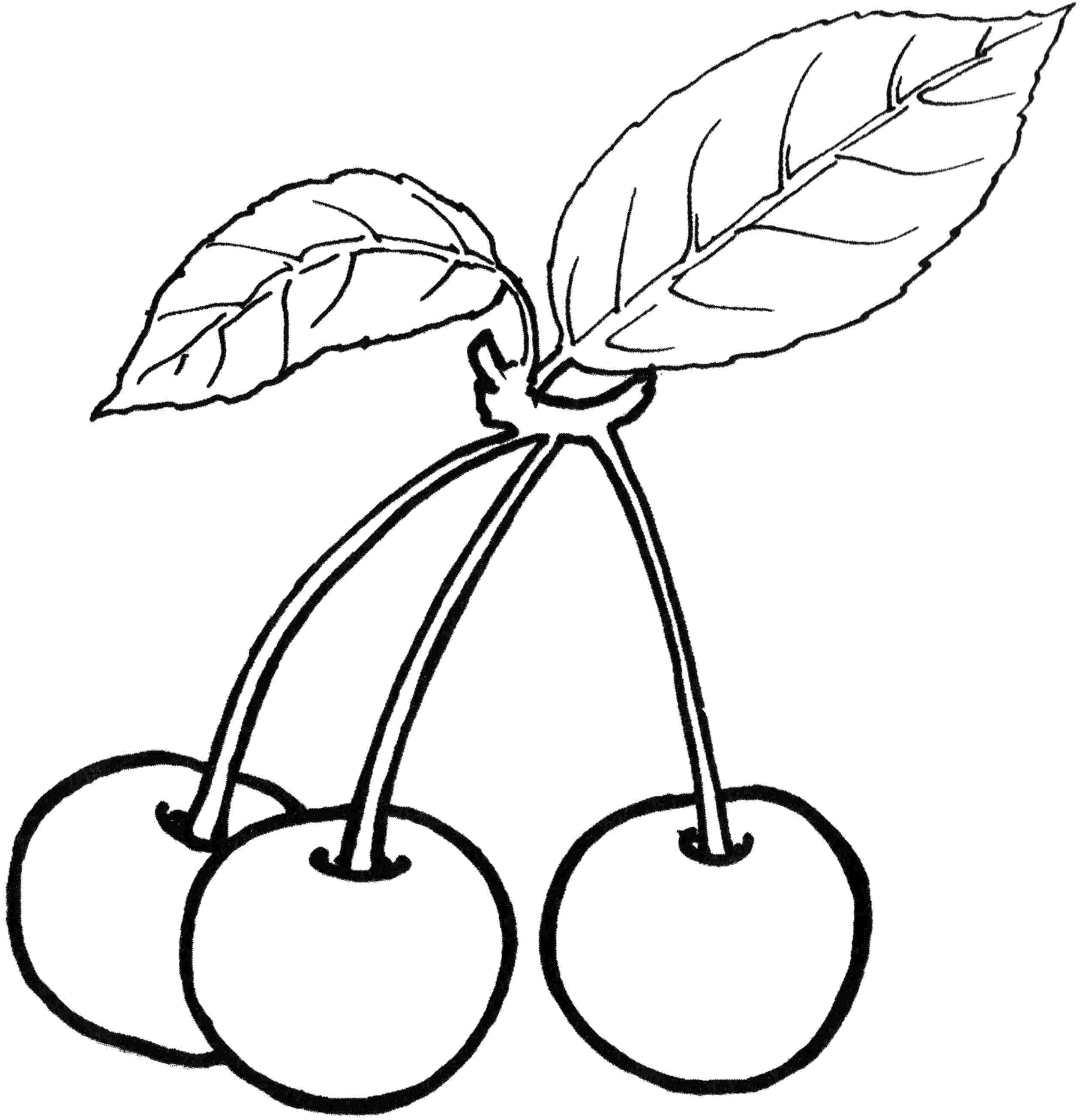 2520x2612 Unique Berries Coloring Pages Gallery Printable Coloring Sheet